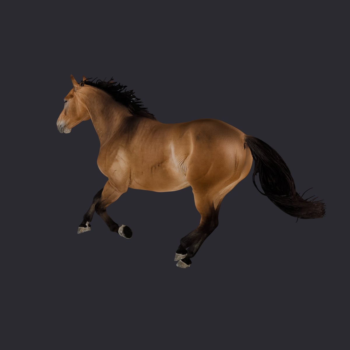 Horse — Bay Galloping Pose — thumbnail 2