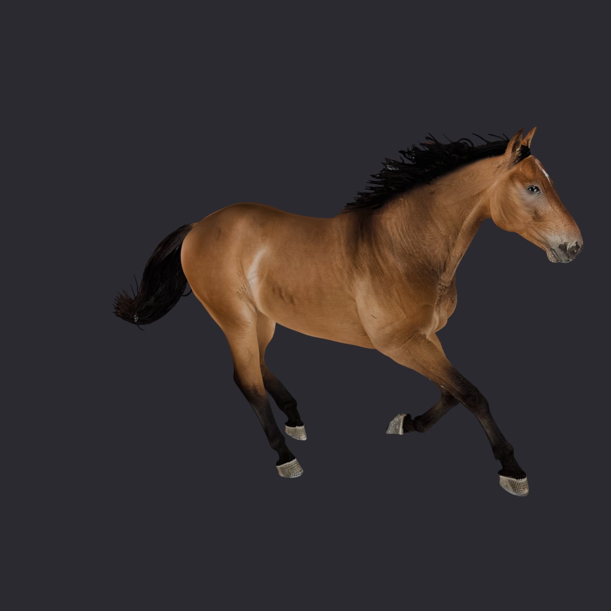 Horse — Bay Galloping Pose — thumbnail 4
