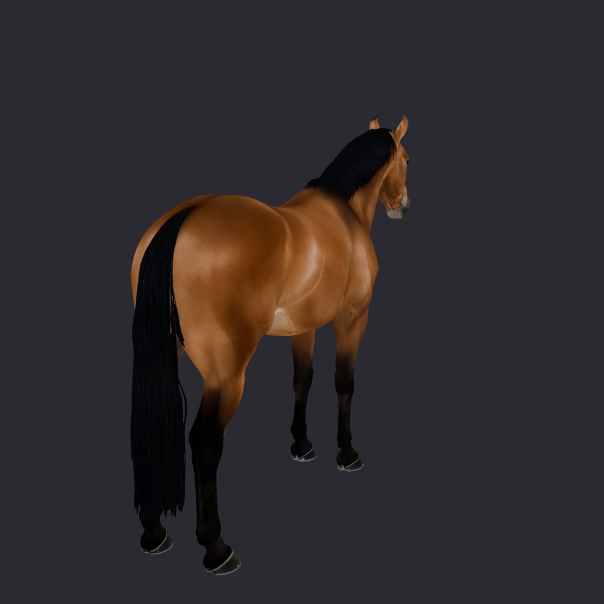 Horse — Bay Coat Standing Pose — thumbnail 3
