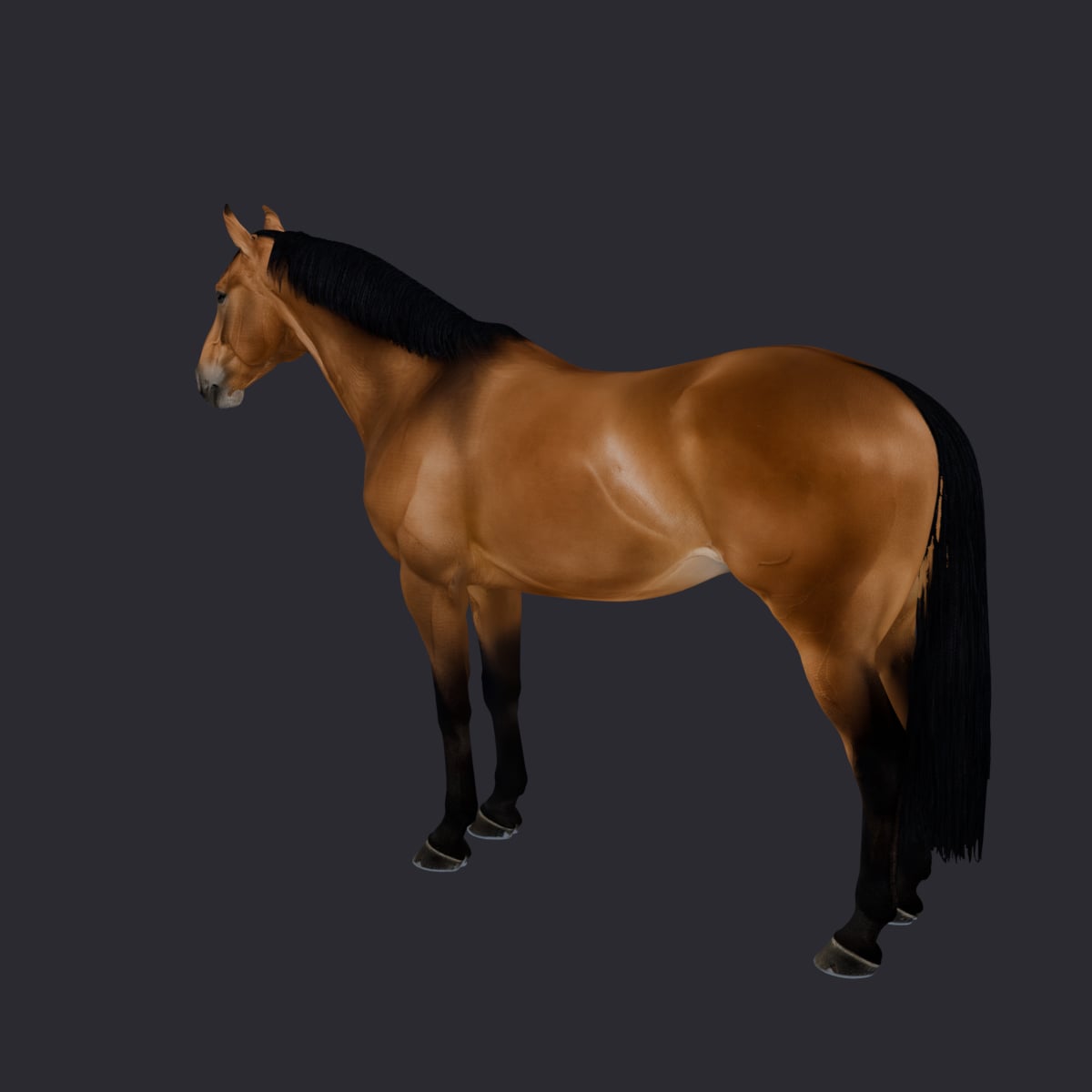 Horse — Bay Coat Standing Pose — thumbnail 2