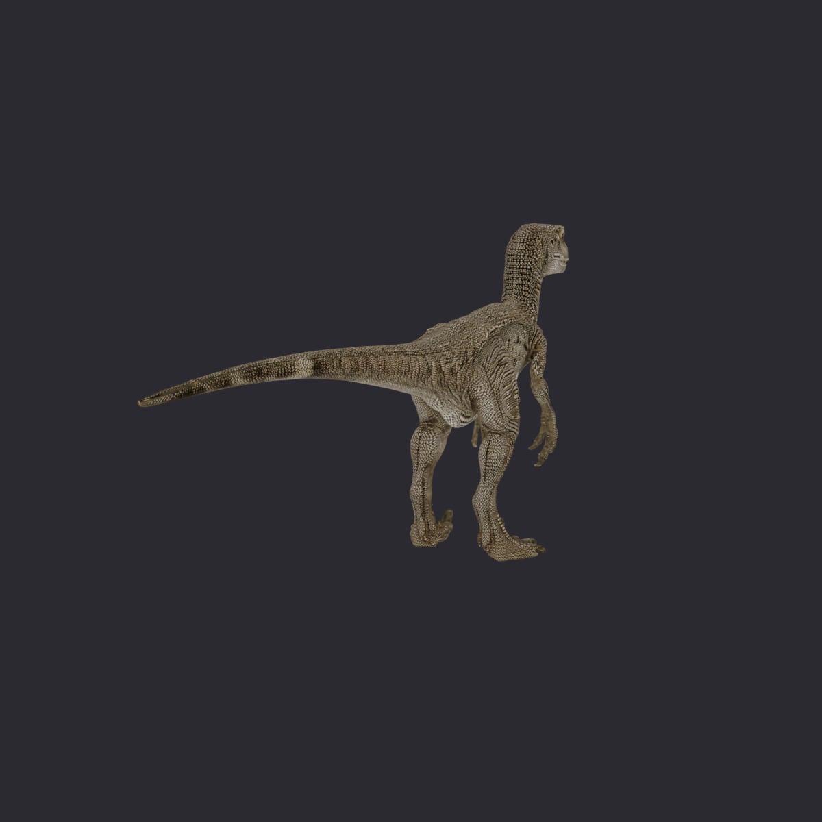 Velociraptor — Standing Predator Pose — thumbnail 3