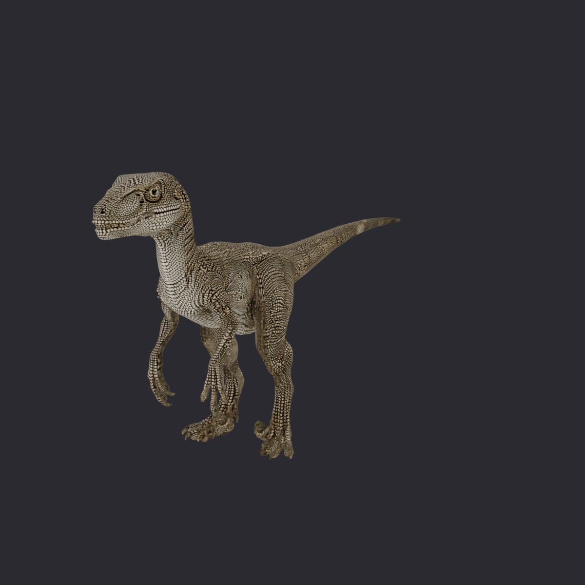 Velociraptor — Standing Predator Pose