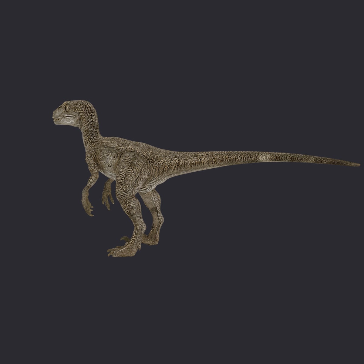 Velociraptor — Standing Predator Pose — thumbnail 2