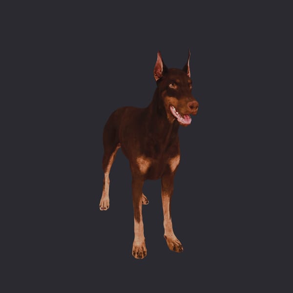 Doberman Pinscher — Walking Pose, Red & Tan