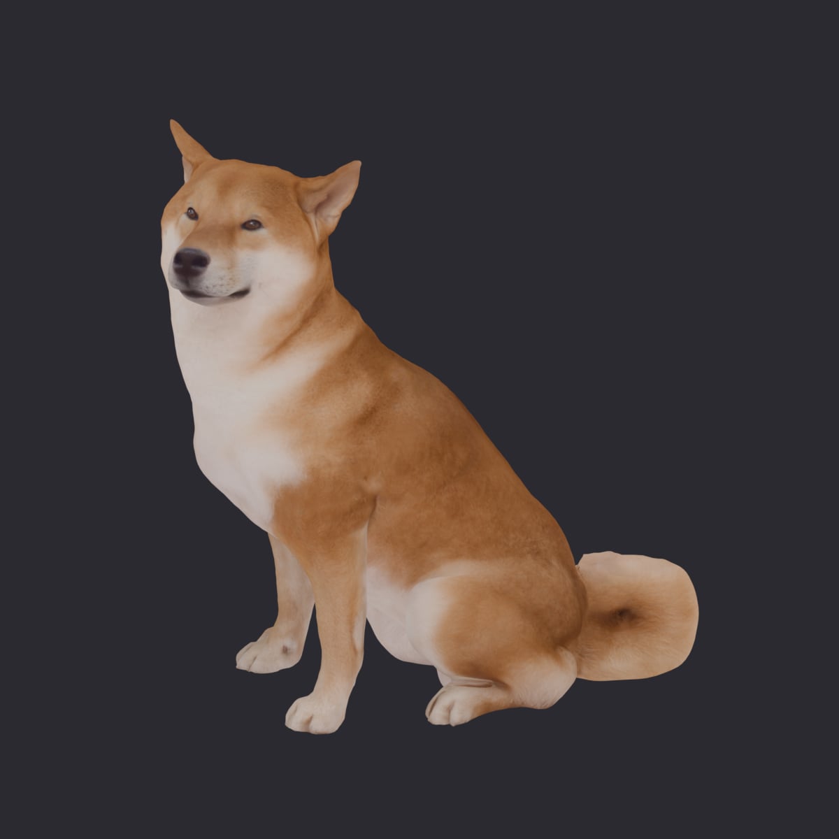 Shiba Inu — Sitting Pose 3D Model